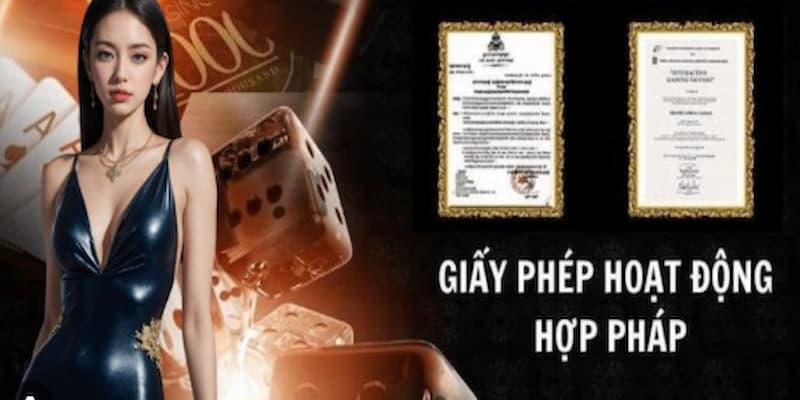 Các loại Giấy phép hoạt động i9bet